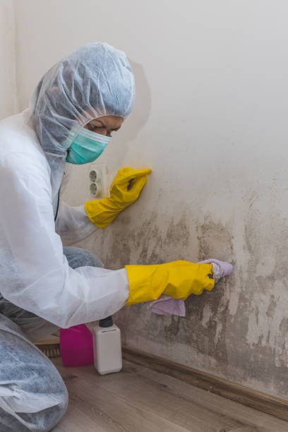 Best Air Quality Testing for Mold Spores  in Westminster, SC