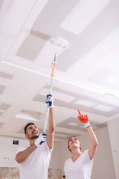 Dehumidification Services in Westminster, SC