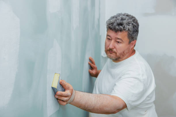 Best Basement Mold Removal  in Westminster, SC