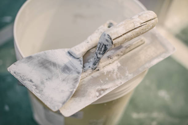 Westminster, SC Mold Removal Company