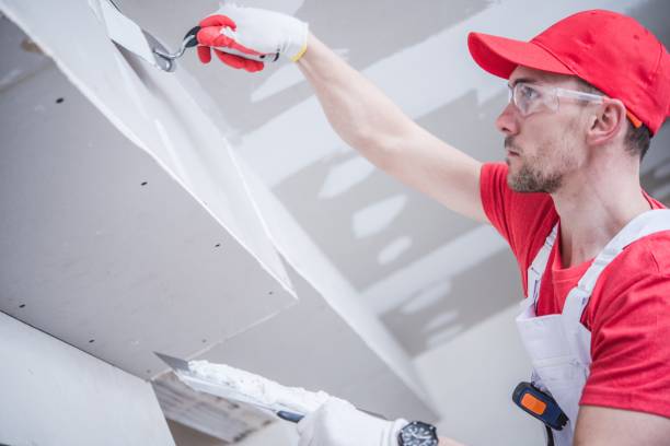 Best Mold Remediation for Healthcare Facilities  in Westminster, SC